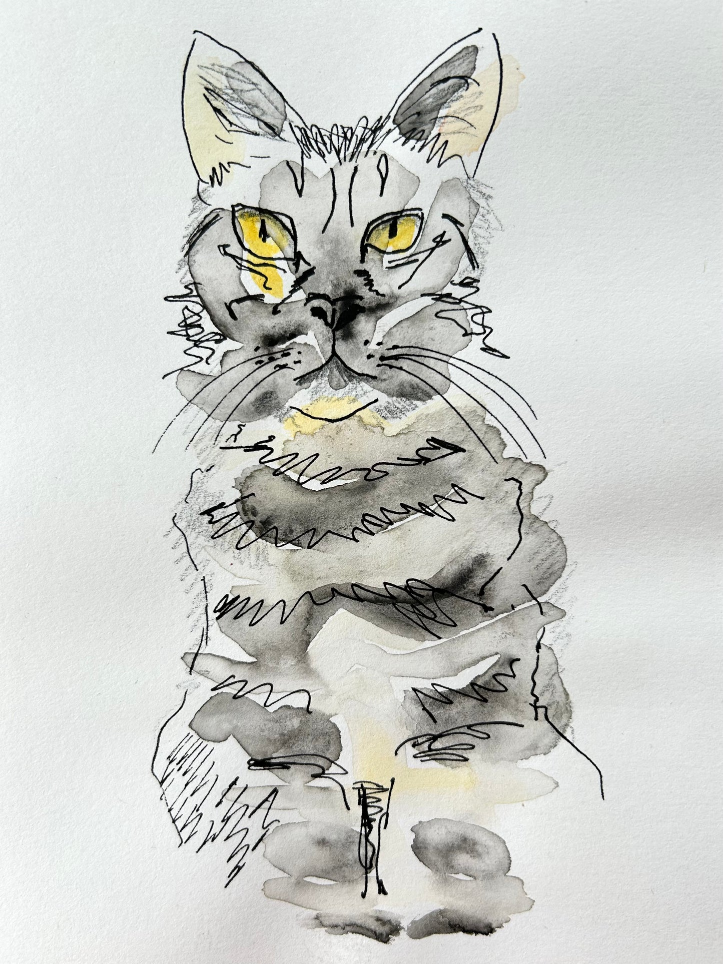 Postcard - 'Frankie the Cat' from an original painting by Melissa Purchase